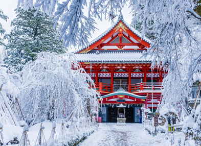 Chào mùa đông Nhật Bản cùng ALL NIPPON AIRWAYS